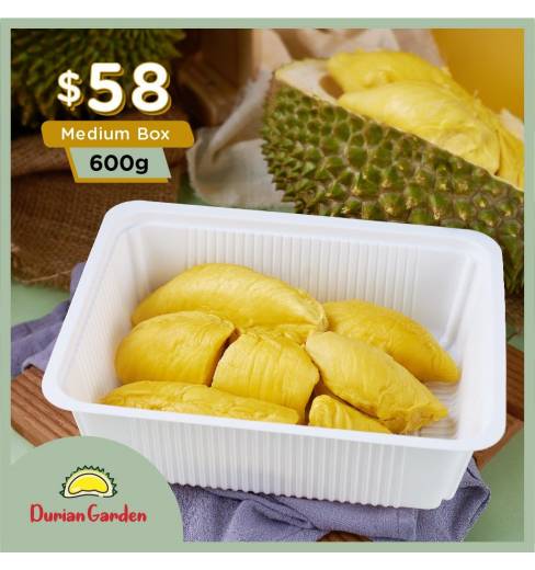 Premium Mao Shan Wang 600g